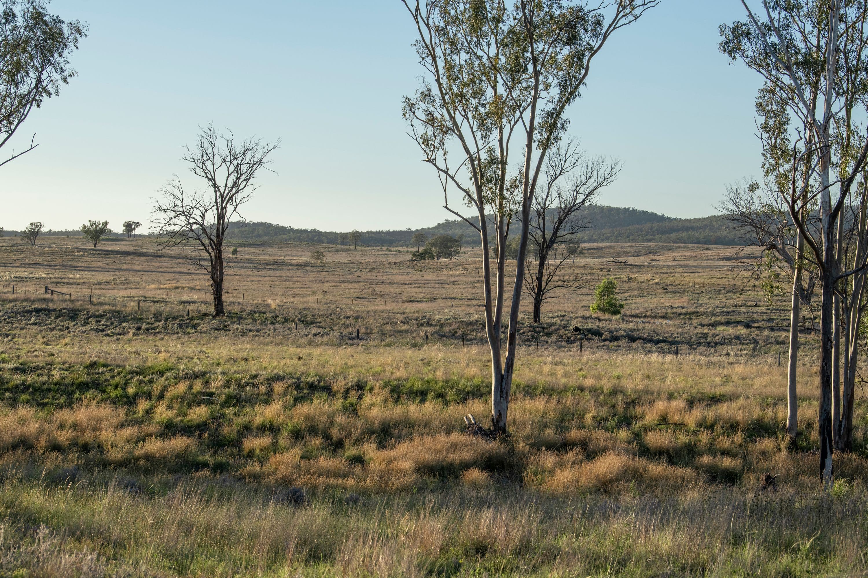 1568 Columba Road, Gore QLD 4352, Gore - Thumbnail 5