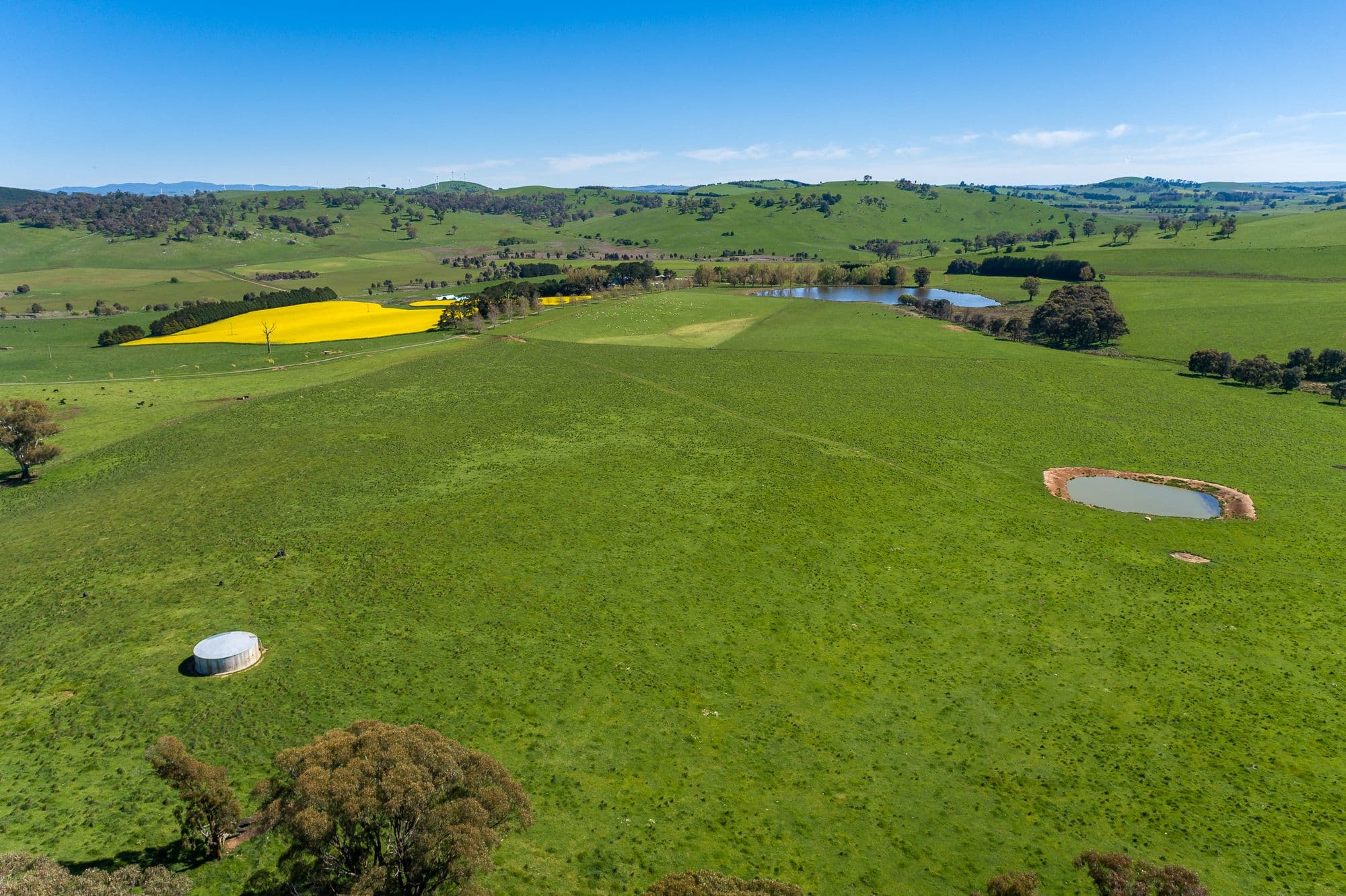 1269 Neville Road, Neville NSW 2799, Neville - Thumbnail 7