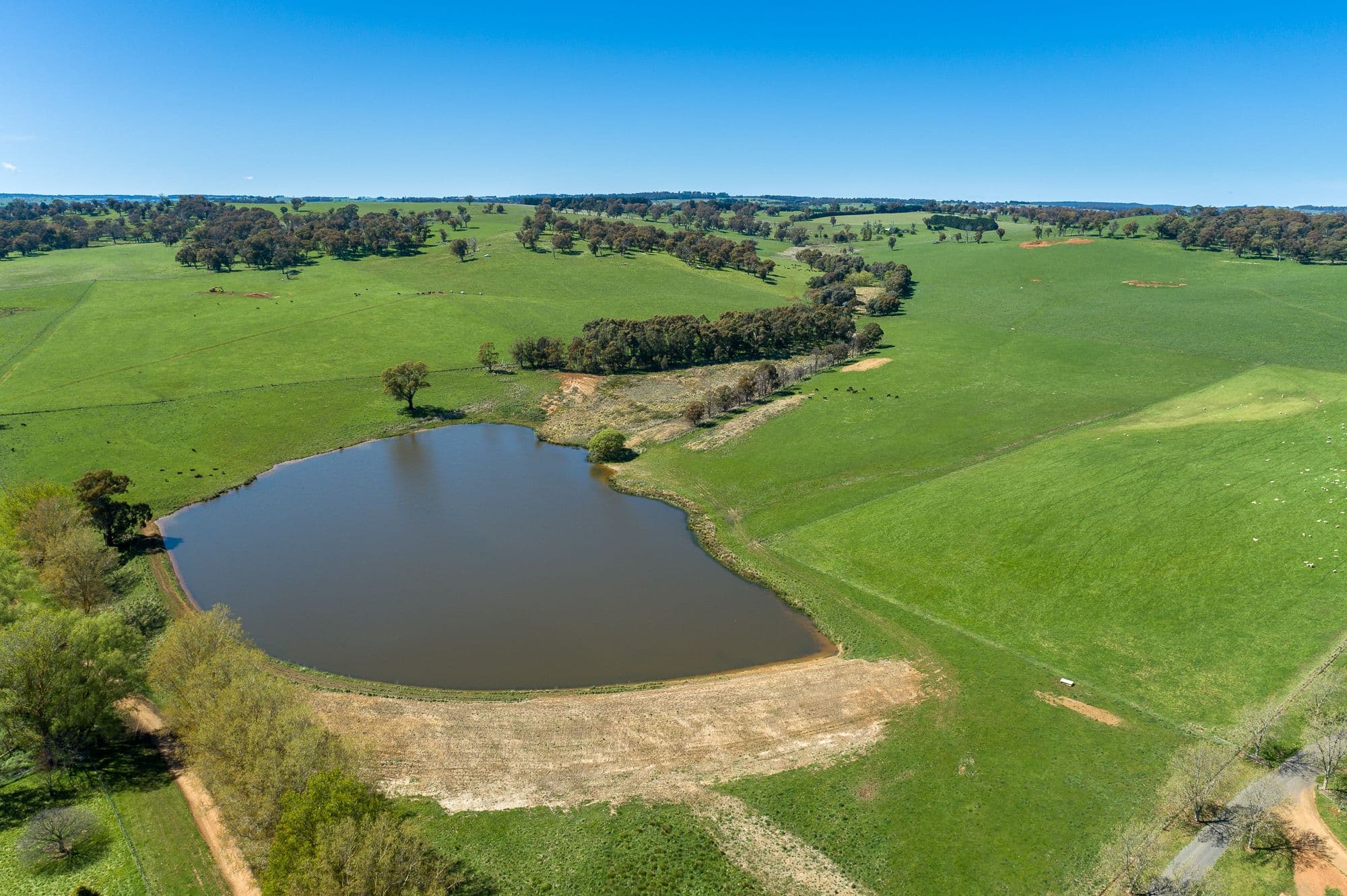 1269 Neville Road, Neville NSW 2799, Neville - Thumbnail 8