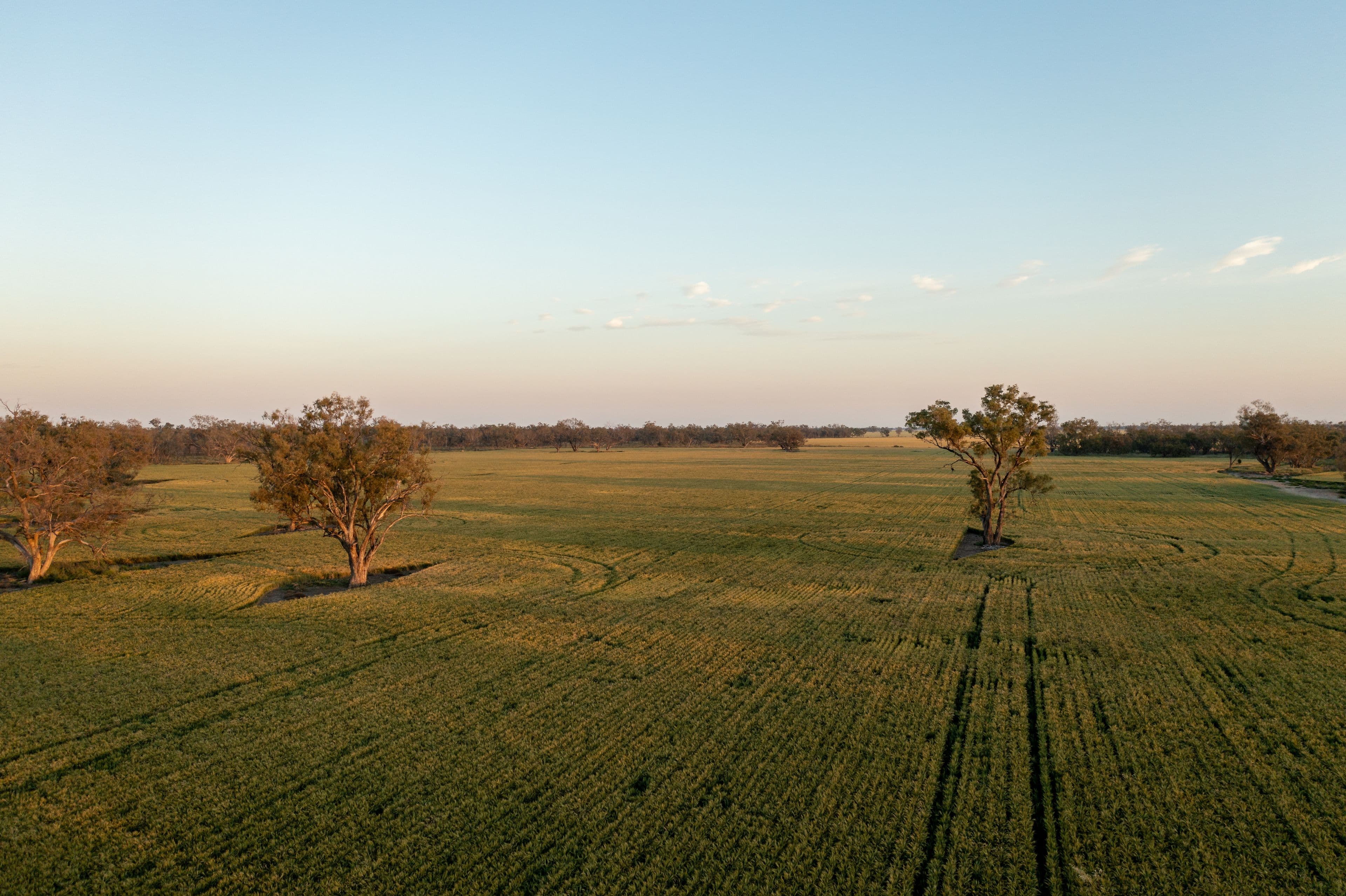 2506 Goonal Road, Bullarah NSW 2400, Bullarah - Thumbnail 7