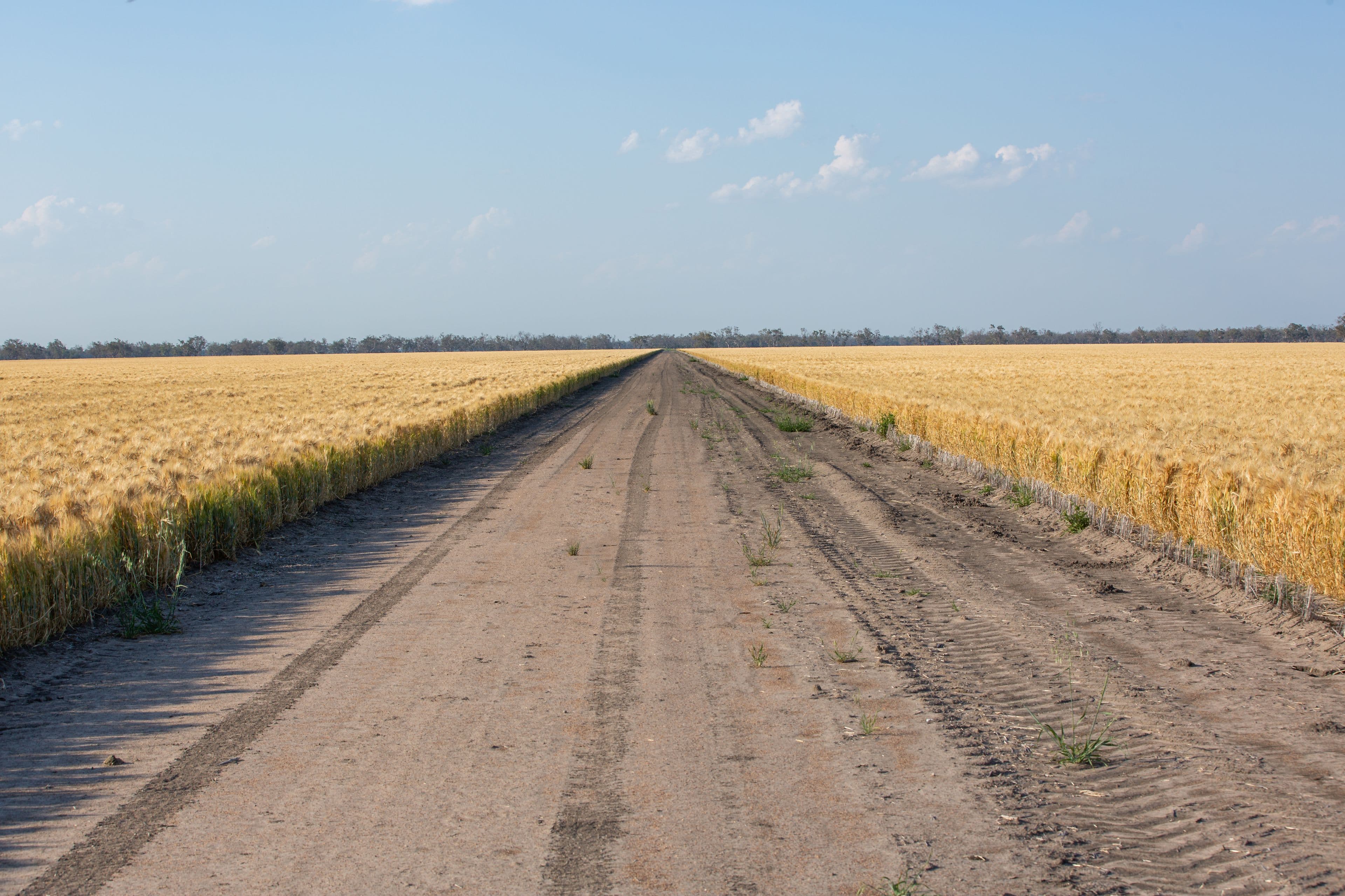2506 Goonal Road, Bullarah NSW 2400, Bullarah - Thumbnail 5