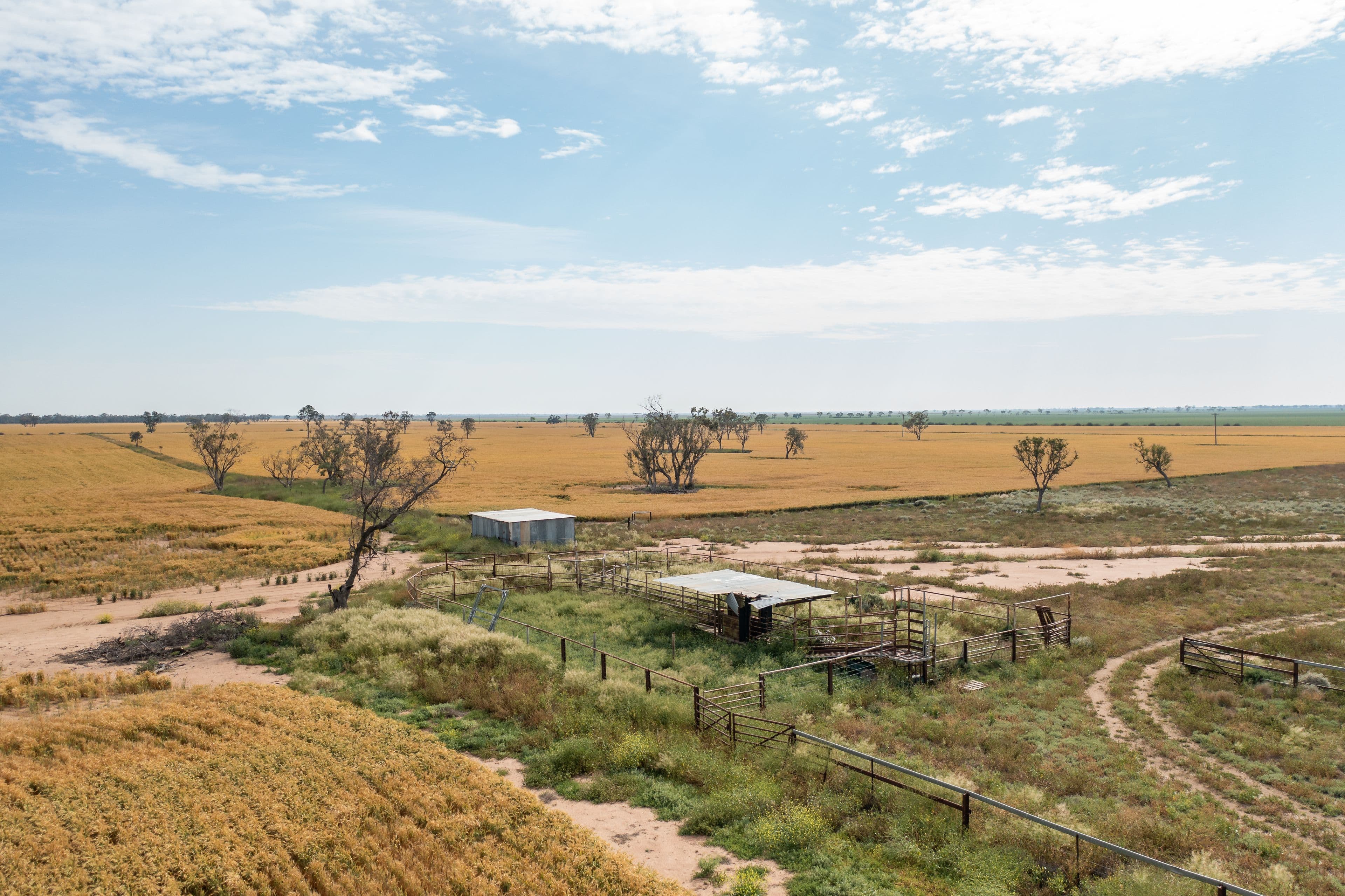 2506 Goonal Road, Bullarah NSW 2400, Bullarah - Thumbnail 7