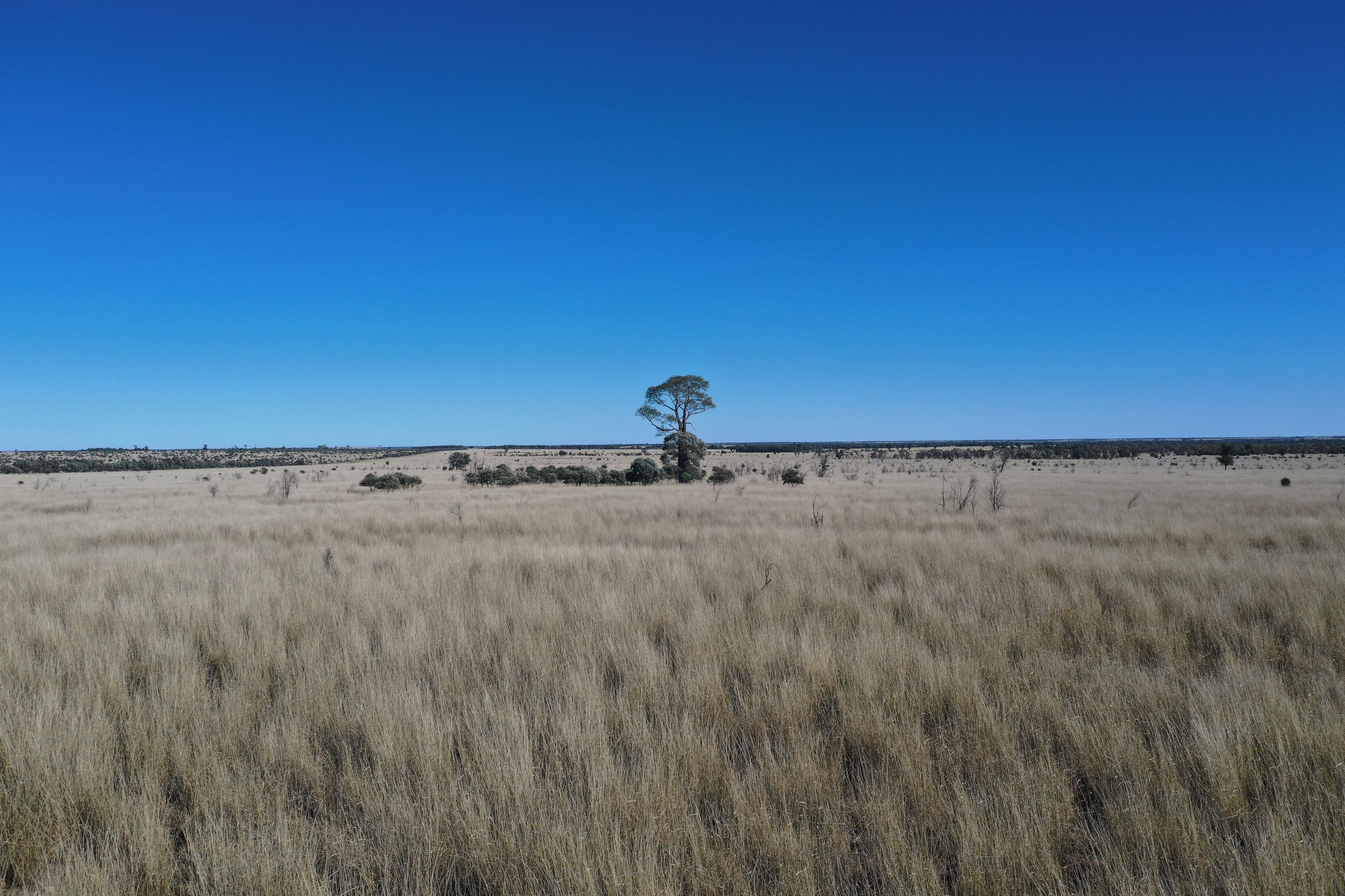 0 Mount Tabor Road, Augathella QLD 4477, Augathella - Image 1