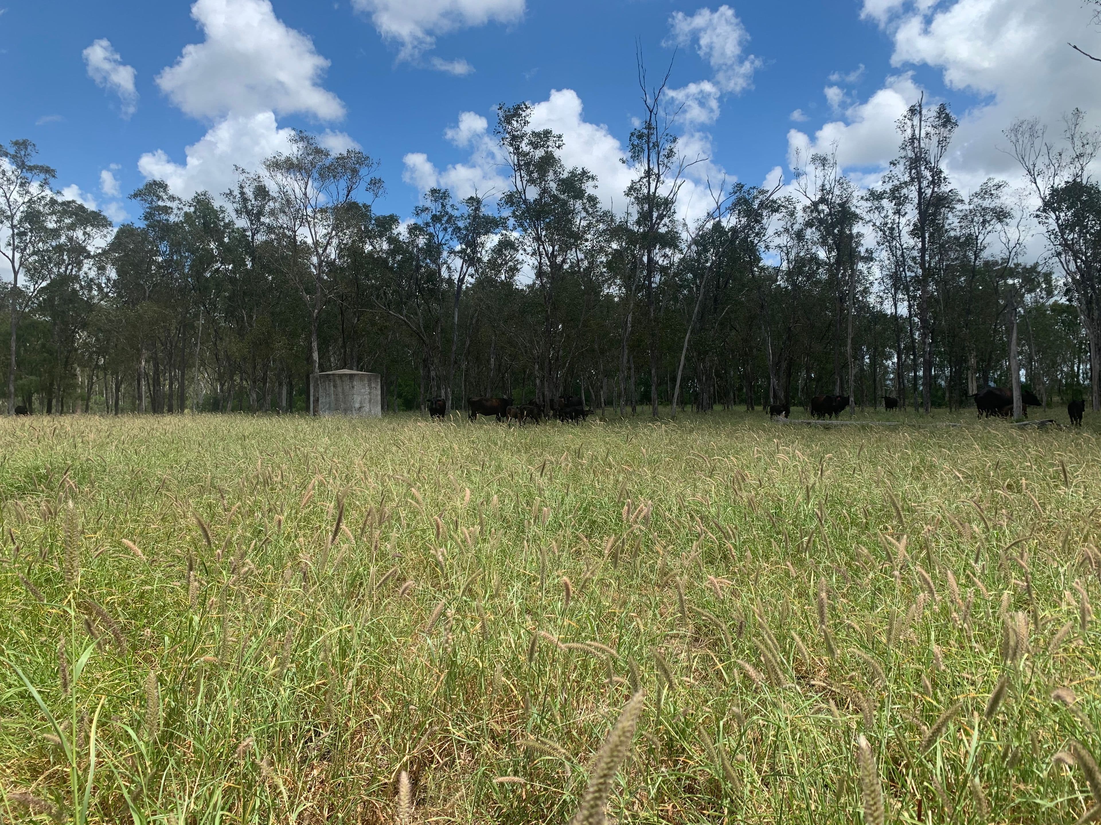 43308 fitzroy development Road, Valkyrie QLD 4742, Valkyrie - Thumbnail 2