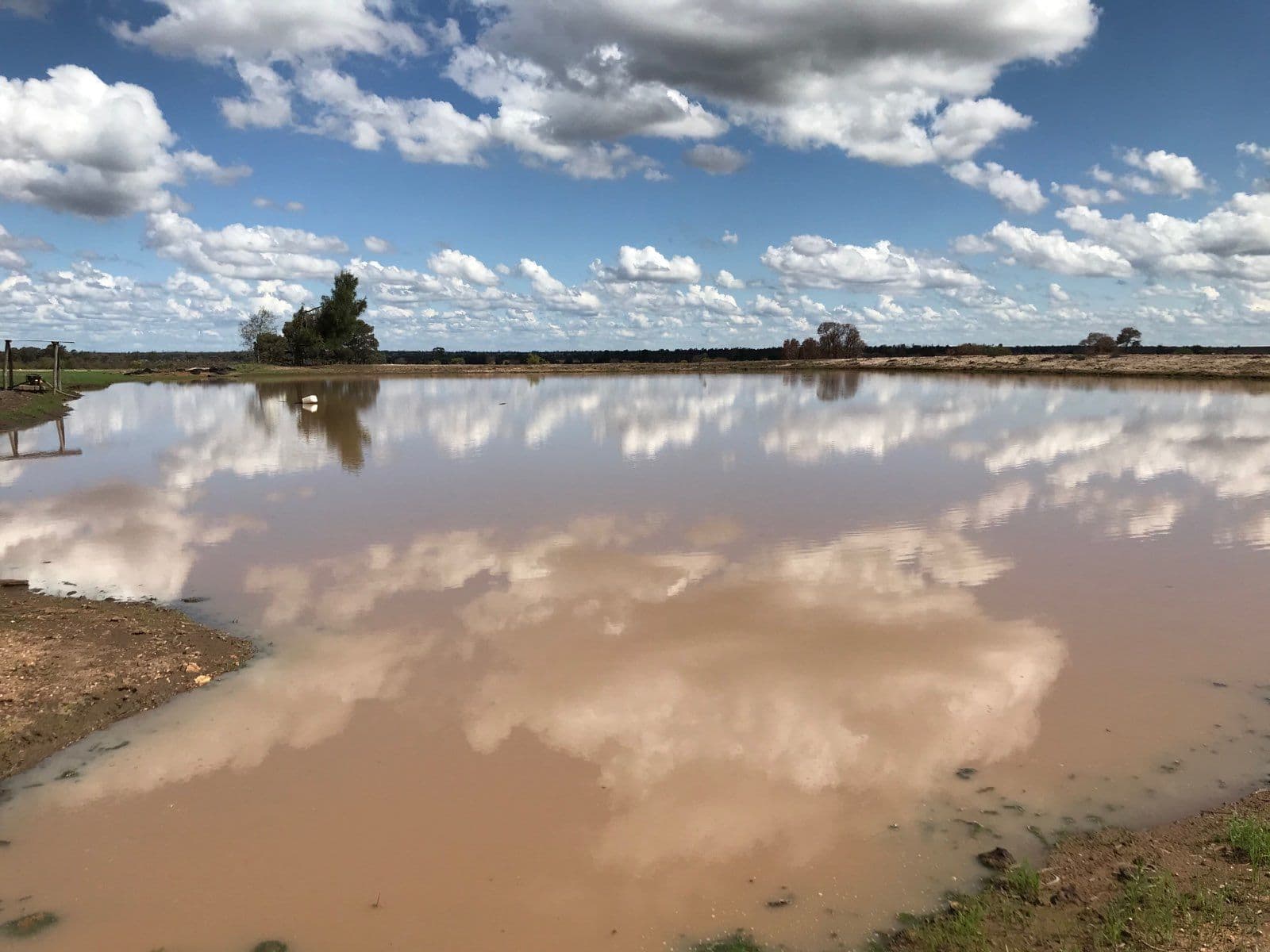 394 Willis Road, Tara QLD 4421, Tara - Thumbnail 4