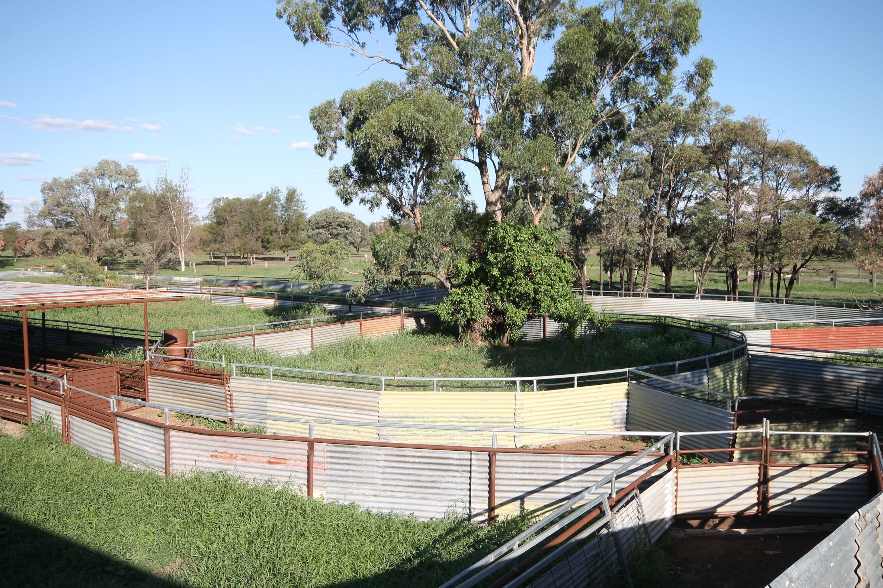 394 Willis Road, Tara QLD 4421, Tara - Thumbnail 5