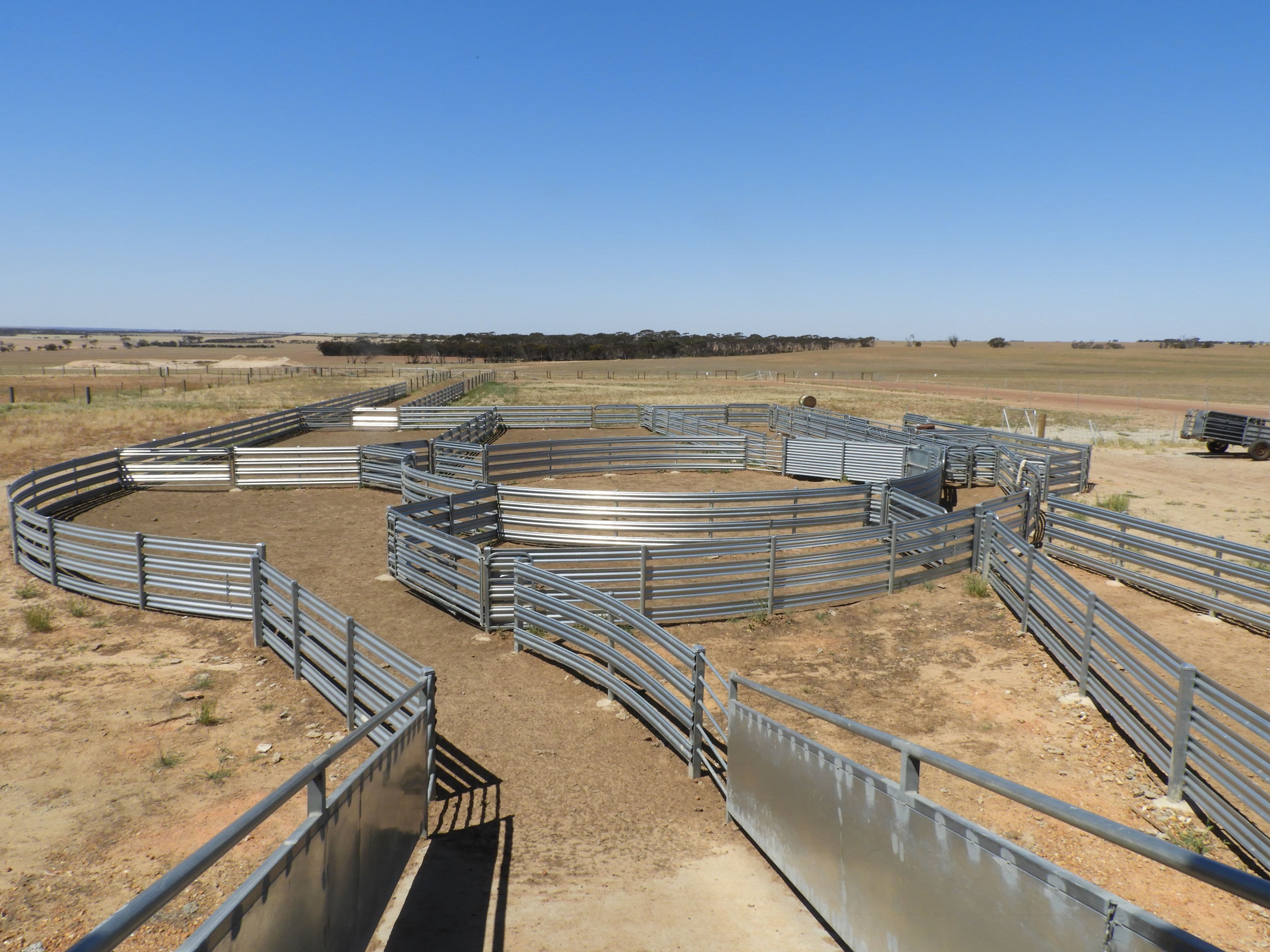 EDL Farms, Lake Magenta, Newdegate WA 6355, Newdegate - Thumbnail 6