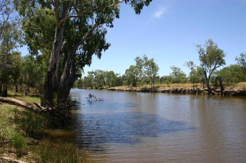 MEANDARRA QLD 4422, Meandarra - Image 1