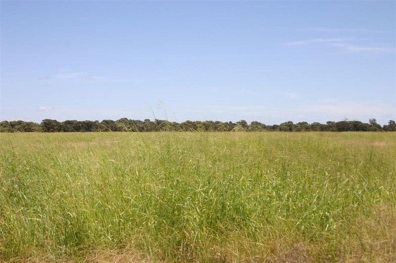 MEANDARRA QLD 4422, Meandarra - Thumbnail 4