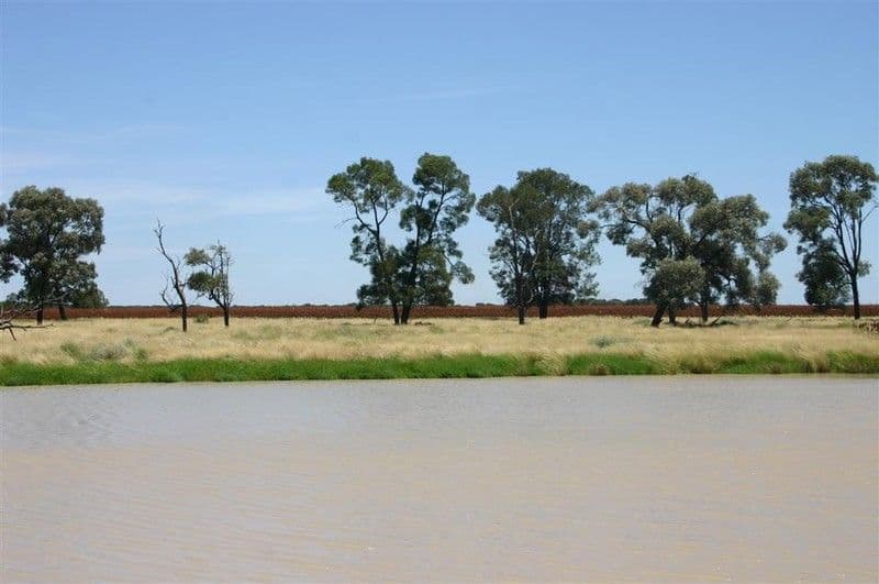 MEANDARRA QLD 4422, Meandarra - Thumbnail 5