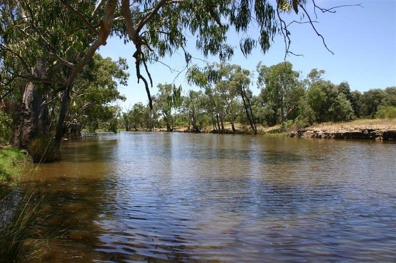 MEANDARRA QLD 4422, Meandarra - Thumbnail 7