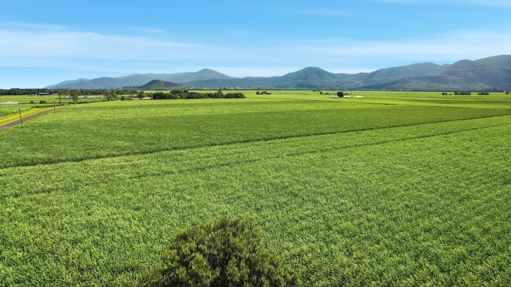 Lot 44 Crossland Road, Gordonvale, QLD, 4865, Gordonvale - Image 1