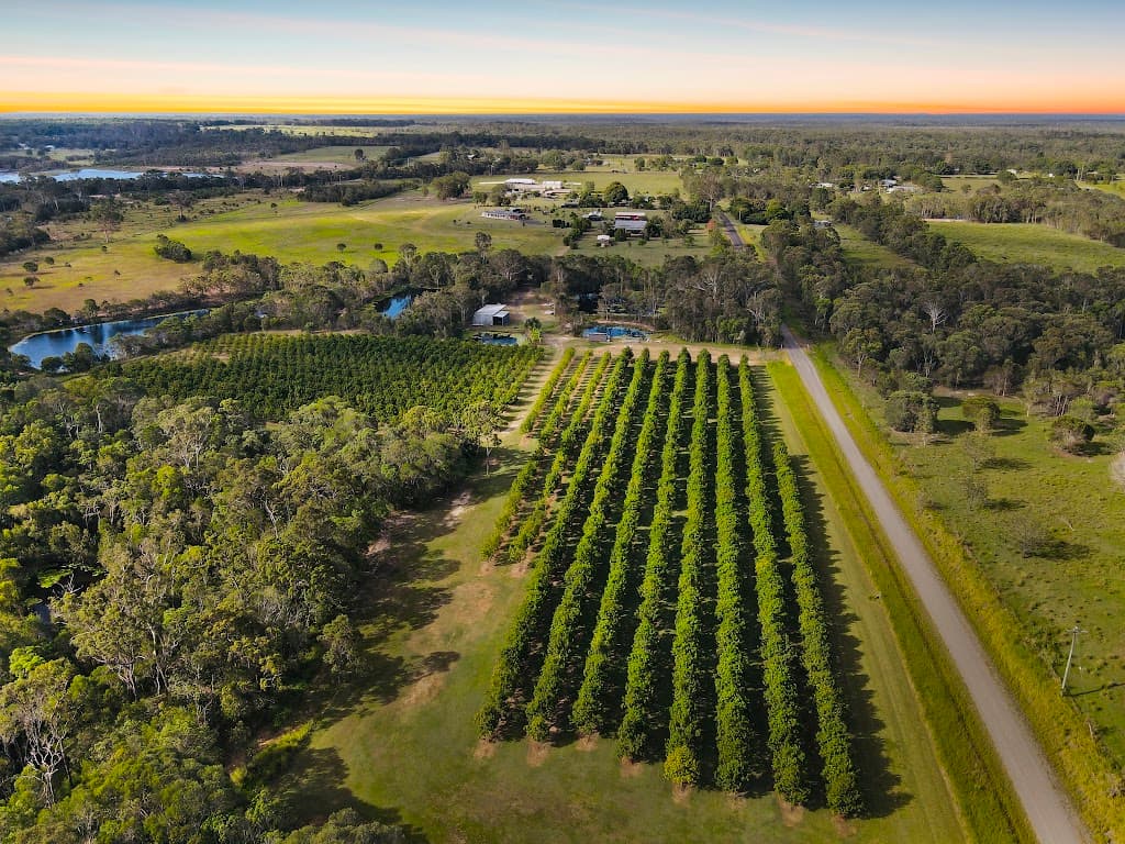 40 Olivers Road, Goodwood, QLD, 4660, Goodwood - Thumbnail 2