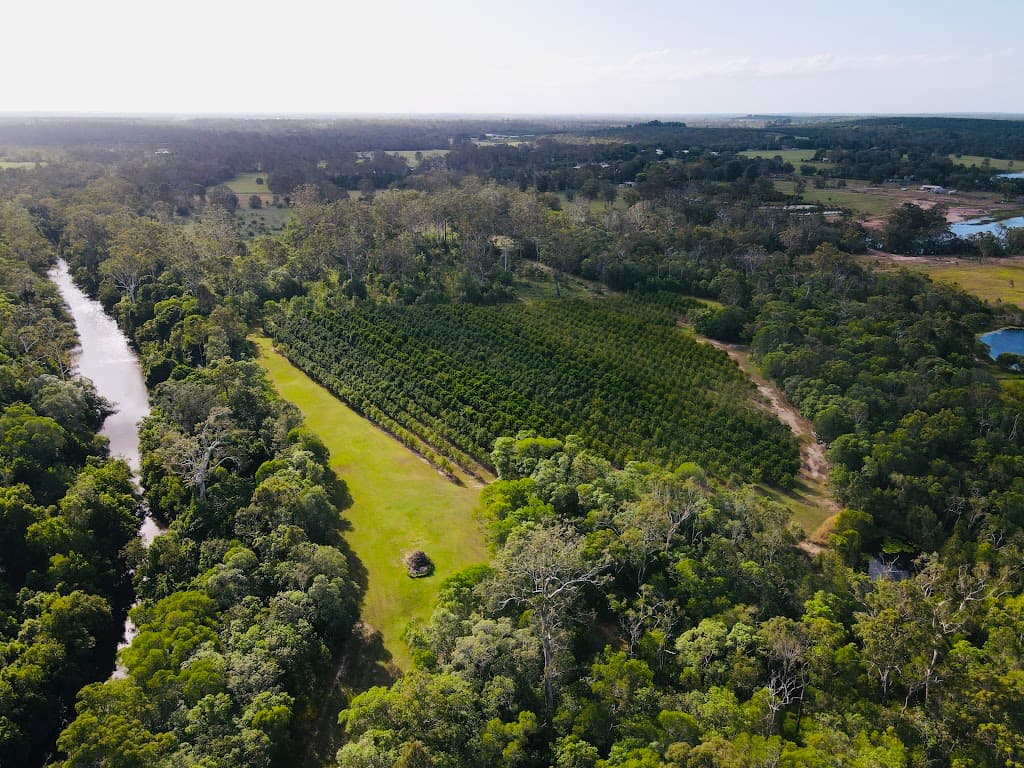 40 Olivers Road, Goodwood, QLD, 4660, Goodwood - Thumbnail 5