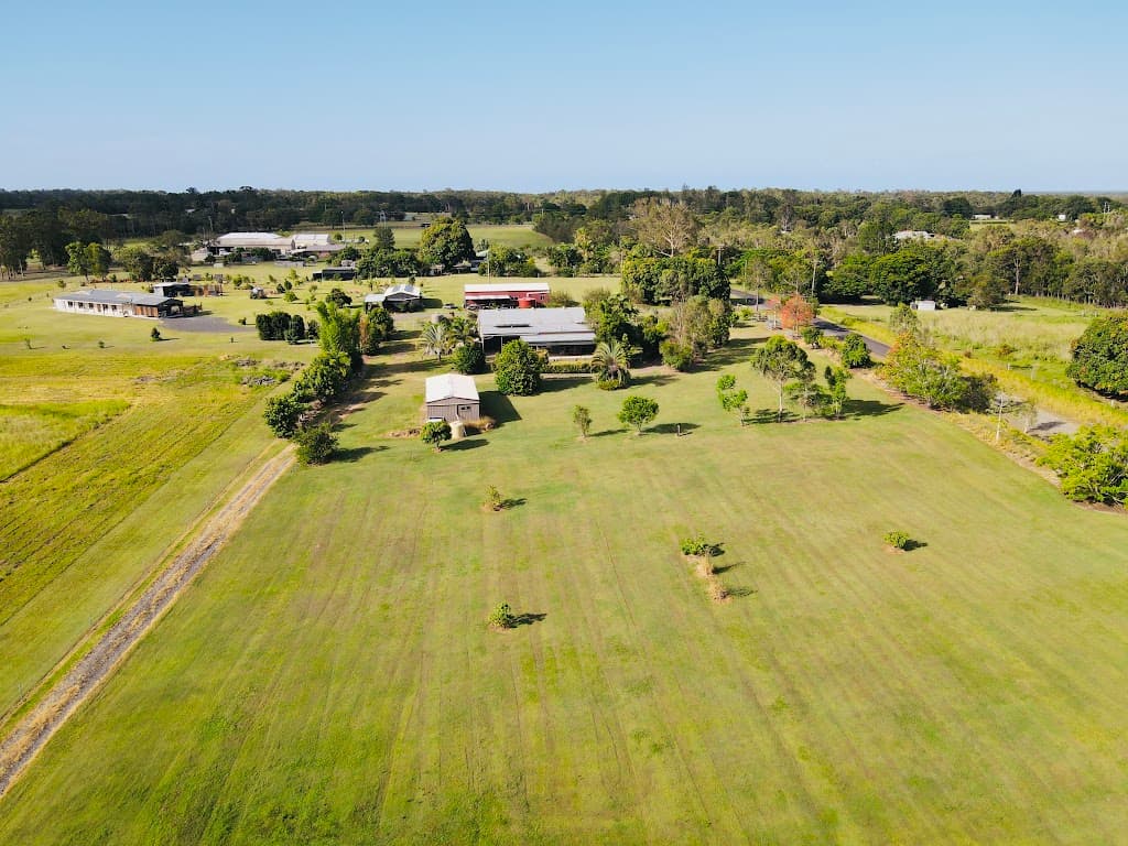 40 Olivers Road, Goodwood, QLD, 4660, Goodwood - Thumbnail 6