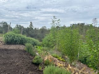 110 Martin Tobin Drive, Horse Camp, QLD, 4671, Horse Camp - Thumbnail 5