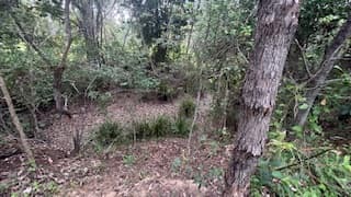 110 Martin Tobin Drive, Horse Camp, QLD, 4671, Horse Camp - Thumbnail 7