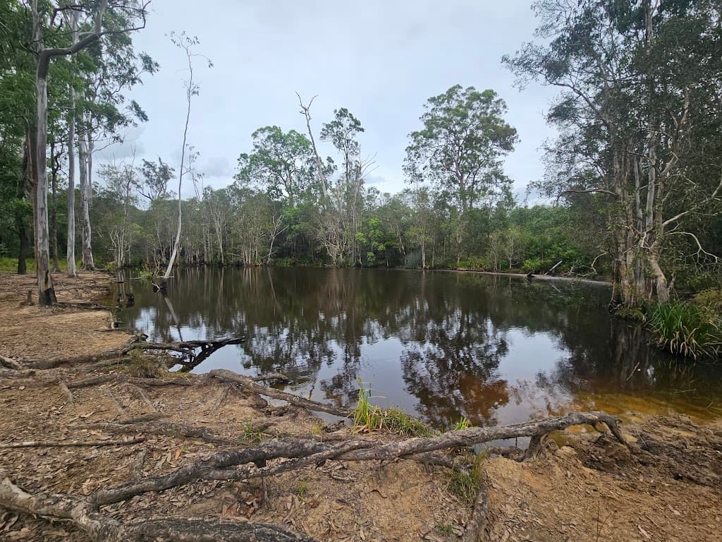 129 Davis Road, Bauple Forest, QLD, 4650, Bauple Forest - Image 1