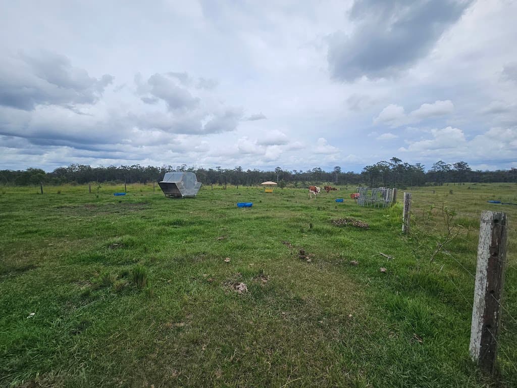 129 Davis Road, Bauple Forest, QLD, 4650, Bauple Forest - Thumbnail 2