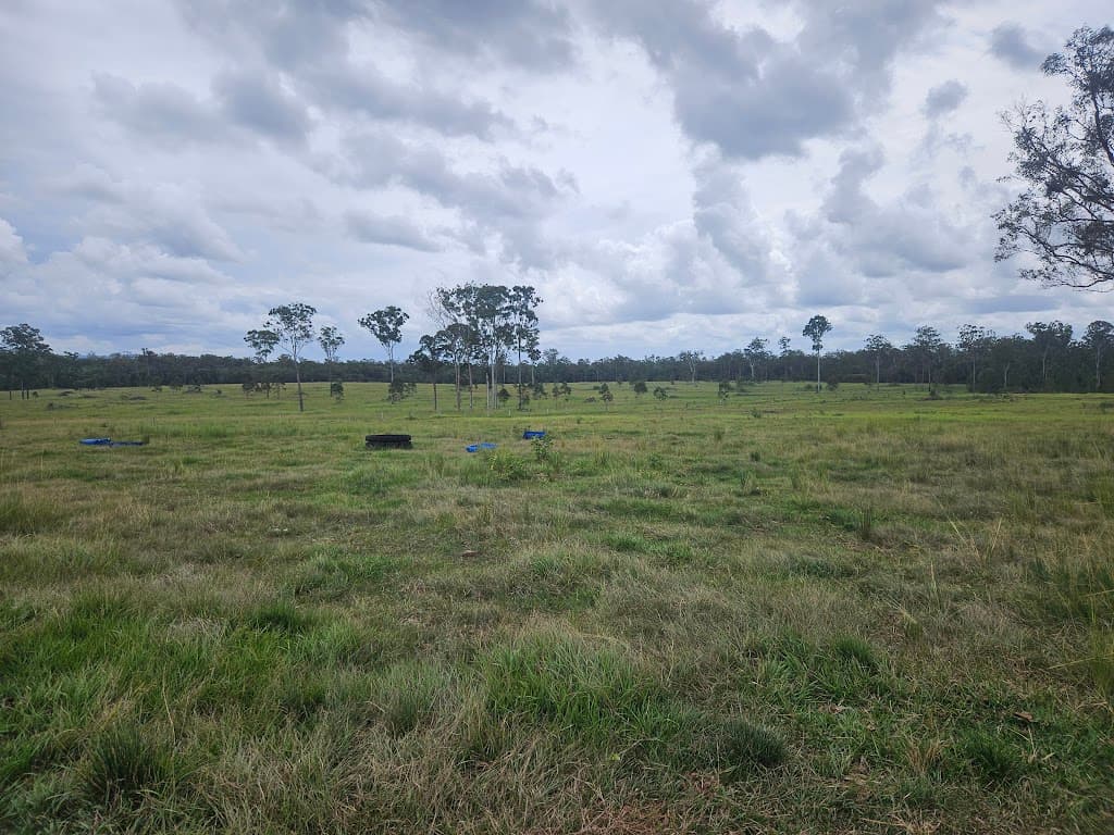 129 Davis Road, Bauple Forest, QLD, 4650, Bauple Forest - Thumbnail 3