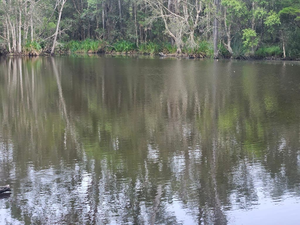 129 Davis Road, Bauple Forest, QLD, 4650, Bauple Forest - Thumbnail 4