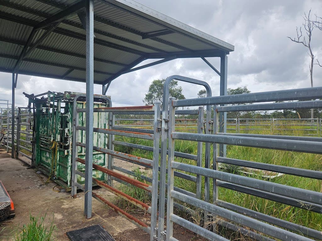 129 Davis Road, Bauple Forest, QLD, 4650, Bauple Forest - Thumbnail 6