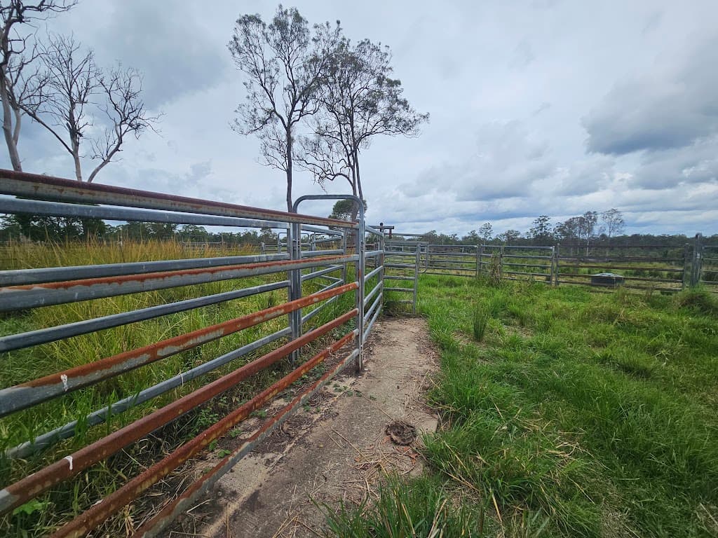 129 Davis Road, Bauple Forest, QLD, 4650, Bauple Forest - Thumbnail 7