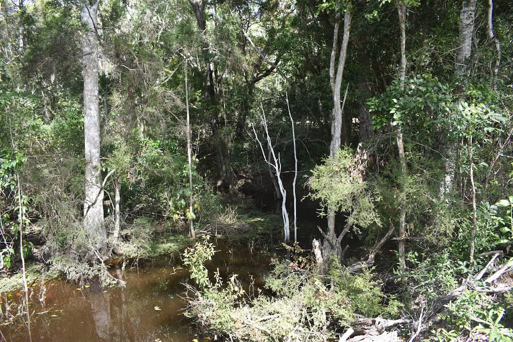 Lot 5 Teddington Road, Teddington, QLD, 4650, Teddington - Thumbnail 4