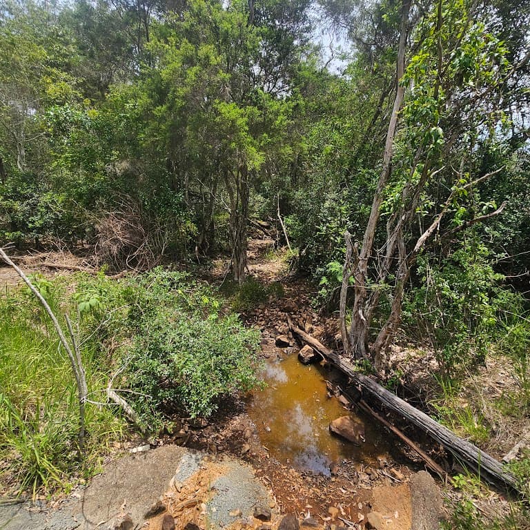 Lot 5 Teddington Road, Teddington, QLD, 4650, Teddington - Thumbnail 5