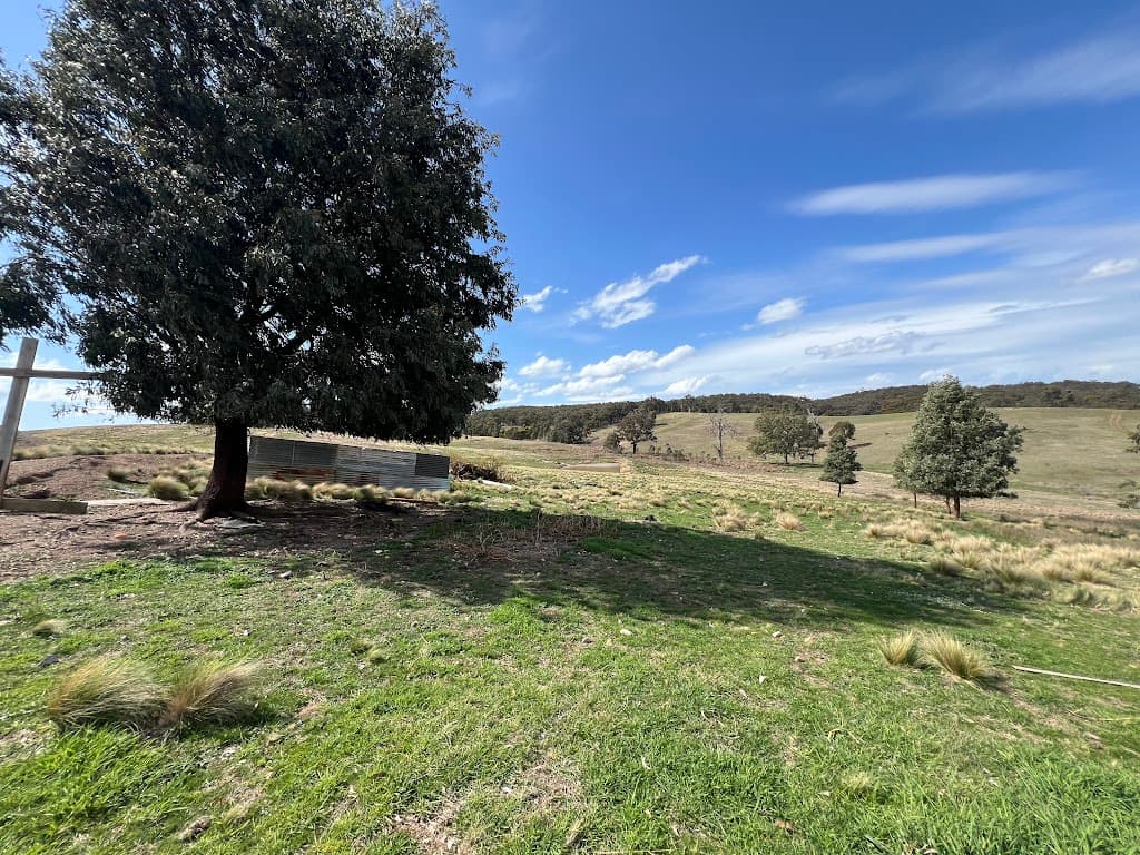 540 Marble Hill Road, Kingsdale, NSW, 2580, Kingsdale - Thumbnail 3