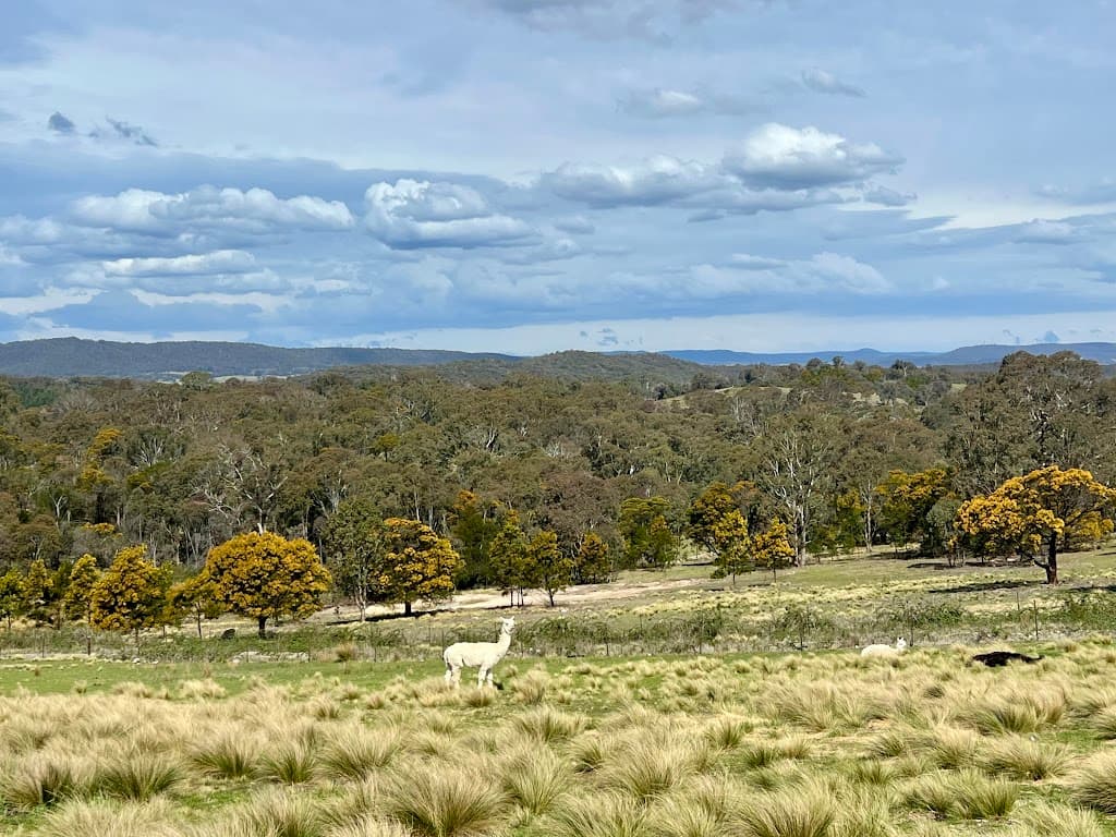540 Marble Hill Road, Kingsdale, NSW, 2580, Kingsdale - Thumbnail 5