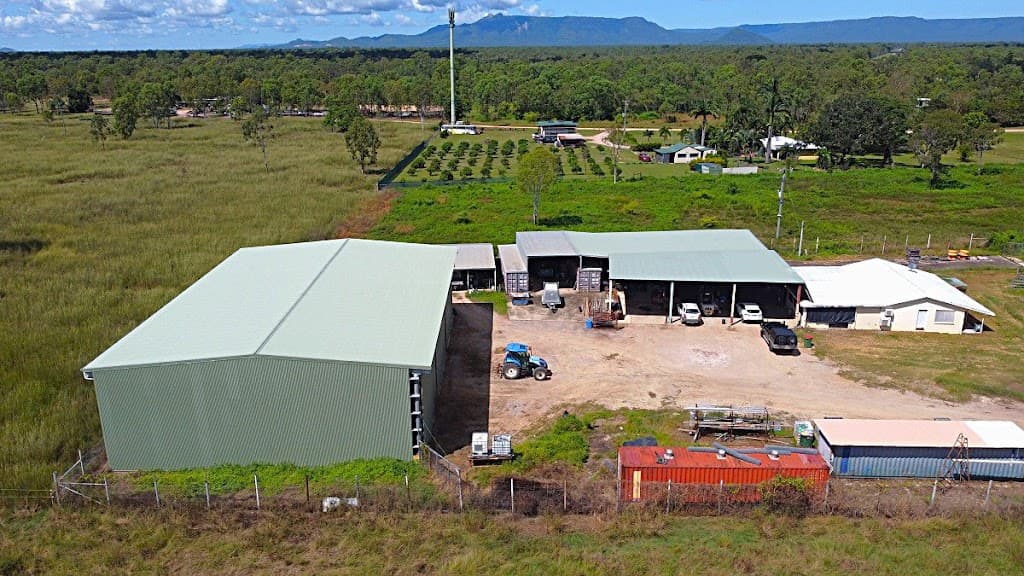 331 Black River Road, Black River, QLD, 4818, Black River - Thumbnail 3