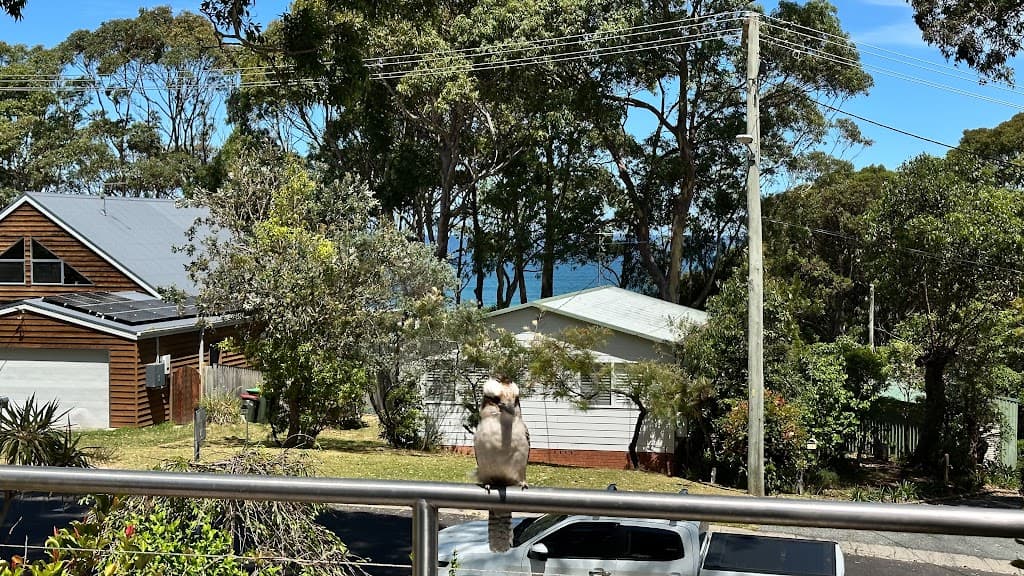 74 Forest Parade, Tomakin, NSW, 2537, Tomakin - Thumbnail 3