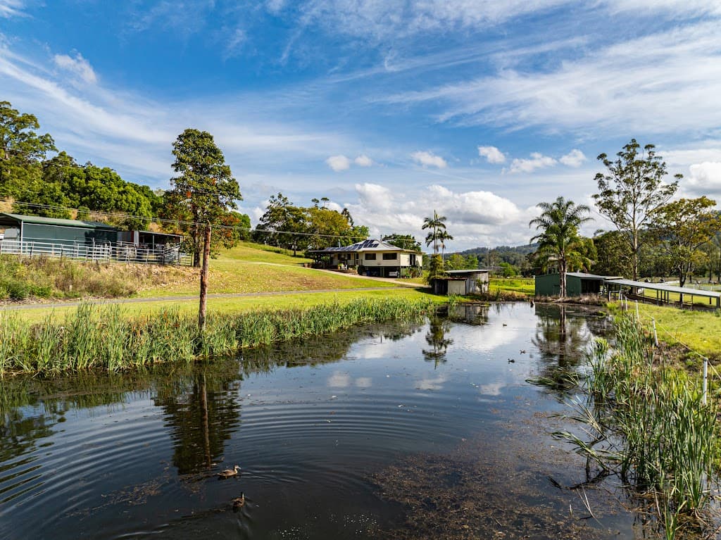 18 Gardner Road, Jiggi, NSW, 2480, Jiggi - Thumbnail 2
