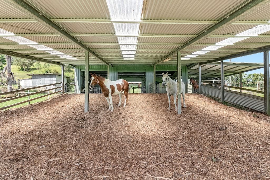 18 Gardner Road, Jiggi, NSW, 2480, Jiggi - Thumbnail 6