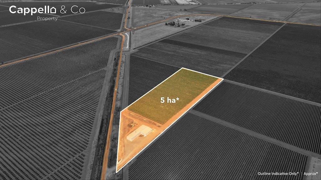 244 Walla Avenue, Griffith, NSW, 2680, Griffith - Thumbnail 2