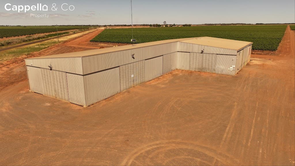 244 Walla Avenue, Griffith, NSW, 2680, Griffith - Thumbnail 3