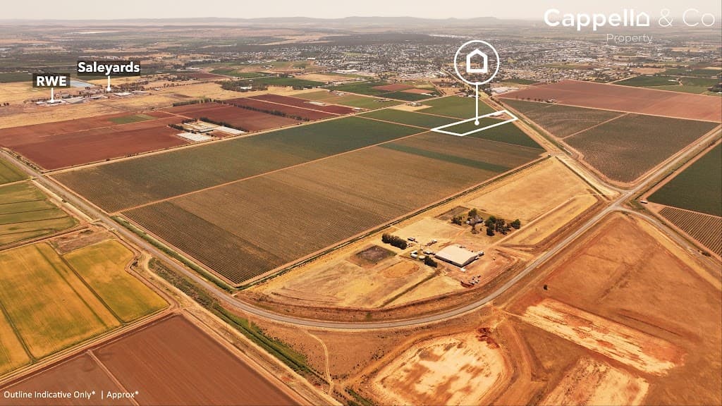 244 Walla Avenue, Griffith, NSW, 2680, Griffith - Thumbnail 4