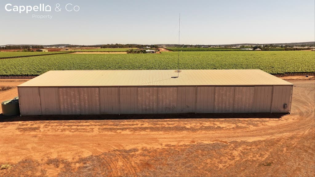 244 Walla Avenue, Griffith, NSW, 2680, Griffith - Thumbnail 6