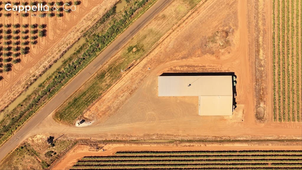 244 Walla Avenue, Griffith, NSW, 2680, Griffith - Thumbnail 7