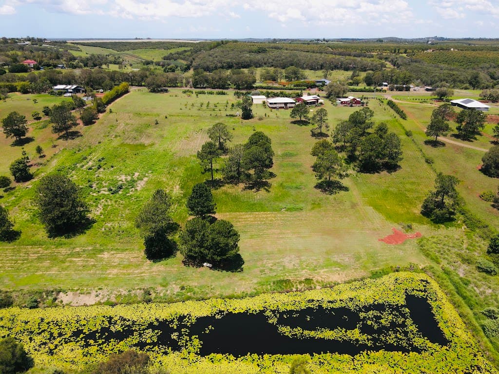 173 ATC Hall Road, North Isis, QLD, 4660, North Isis - Thumbnail 8