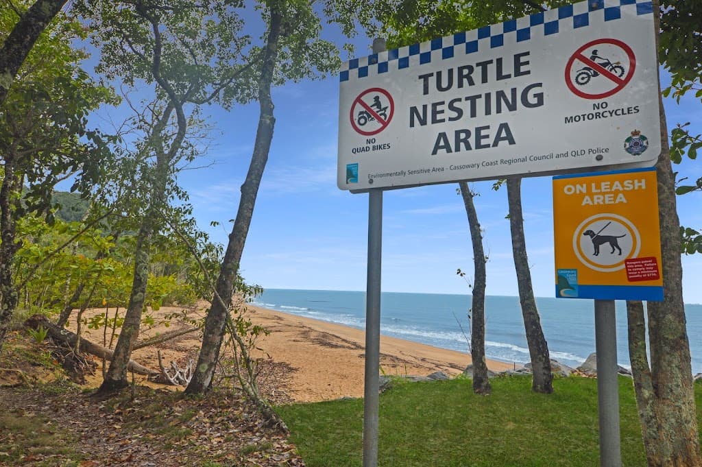 8 Feldt Street, Flying Fish Point, QLD, 4860, Flying Fish Point - Thumbnail 4