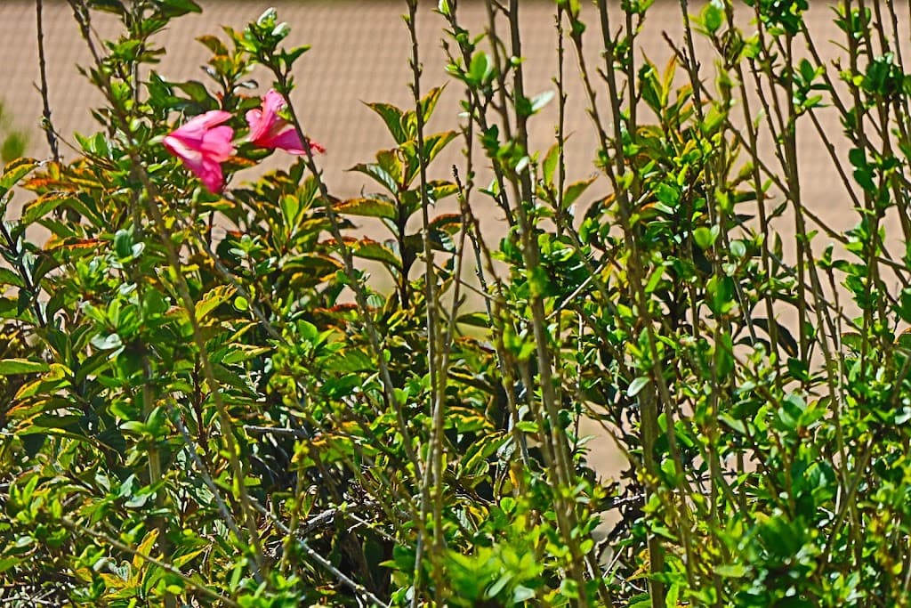 18/11 Payne Street, Narooma, NSW, 2546, Narooma - Thumbnail 7