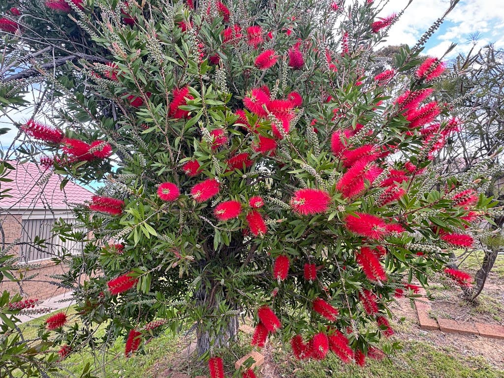 18/11 Payne Street, Narooma, NSW, 2546, Narooma - Thumbnail 8