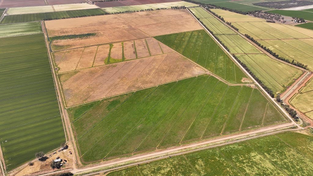 128 Chittick Road, Warrawidgee, NSW, 2680, Warrawidgee - Thumbnail 4
