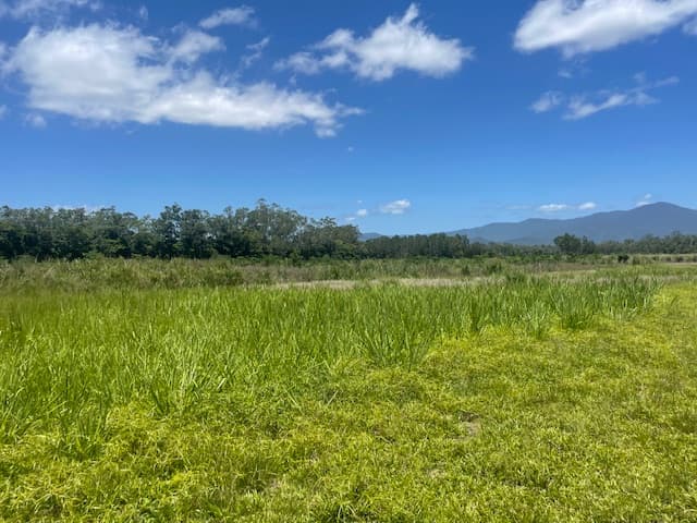 12 Pine Creek – Yarrabah Road, East Trinity, QLD, 4871, East Trinity - Thumbnail 2