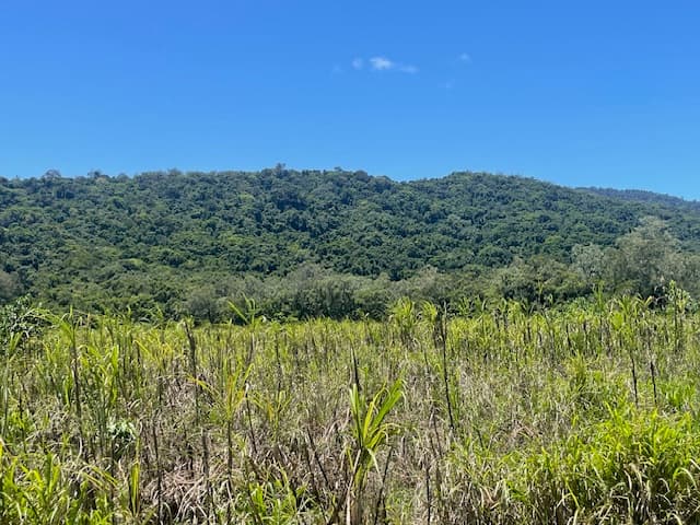 12 Pine Creek – Yarrabah Road, East Trinity, QLD, 4871, East Trinity - Thumbnail 3