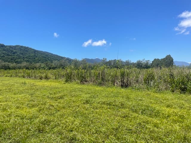 12 Pine Creek – Yarrabah Road, East Trinity, QLD, 4871, East Trinity - Thumbnail 4