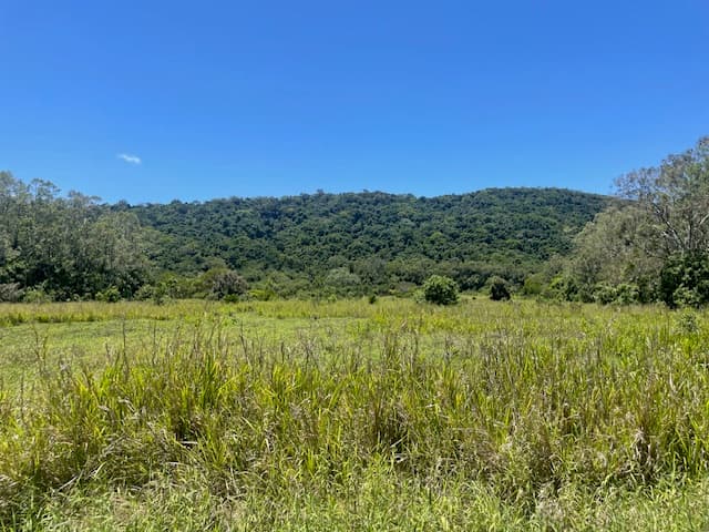 12 Pine Creek – Yarrabah Road, East Trinity, QLD, 4871, East Trinity - Thumbnail 5