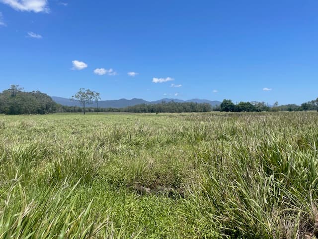 12 Pine Creek – Yarrabah Road, East Trinity, QLD, 4871, East Trinity - Thumbnail 7